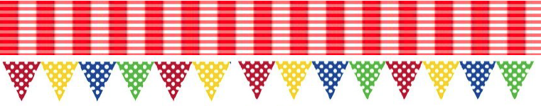 chickendinner flags