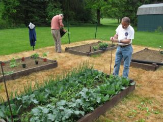 communitygarden