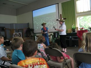 VBS8