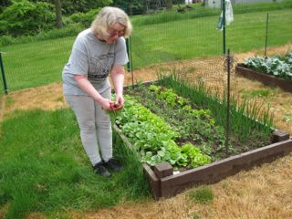 garden1